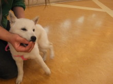 訓練(｀・ω・´)