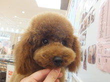 お迎えになりました(^O^)