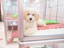 ☆ハッスルヽ(´▽｀)/☆