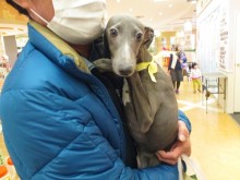 ☆お迎えになりました(*´ω｀*)☆