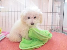 ☆あ～そ～ぼ～(´∀｀)☆