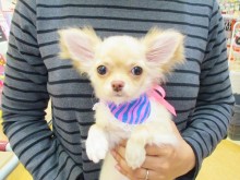 ☆お迎えになりました( ´ ▽ ` )☆