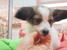 ☆ついに…♪☆