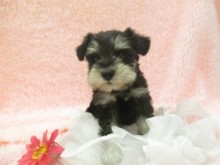 ☆今日のポチたま( ´艸｀)☆