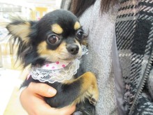 お迎えになりました(^O^)