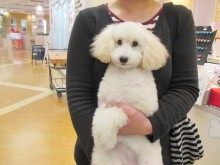 ☆お迎えになりました☆