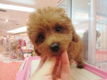 ☆週末ですね(´∀｀)☆