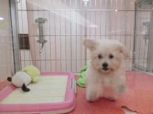 ☆元気元気♪☆