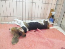 ☆可愛いおてて☆