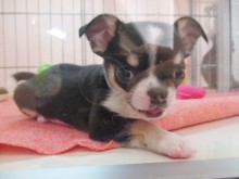 ☆僕ですよ～(*´∀｀*)☆