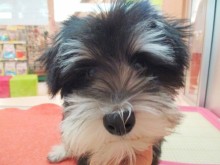 ☆ふわっサラ～ッ(*^_^*)☆