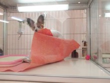 ☆今日のポチたま☆