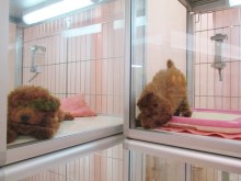 ☆甘えん坊～(*´ω｀*)☆