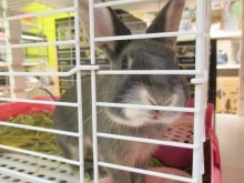 ☆今日のポチたま☆