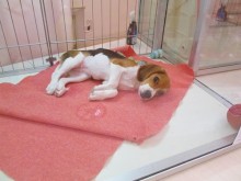 ☆これからの時期に☆