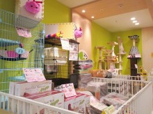 ☆キャットタワー☆