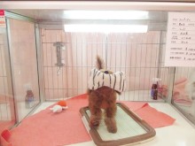 ☆今日のポチたま☆