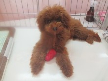 ☆おもちゃ大好き(^O^)☆