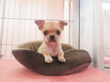 ☆仲間入りしました☆