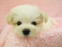 ☆仲間入りしました(^O^)☆