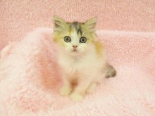 ☆仲間入りしました(^-^)☆