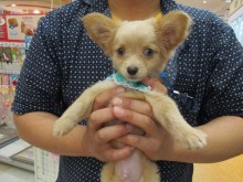 お迎えになりました(*´▽｀*)