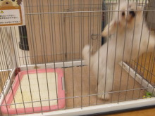 元気いっぱいヽ(^0^)ノ