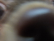 みんな元気いっぱい(((o(*ﾟ▽ﾟ*)o)))