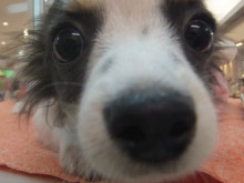 会いに来てね(*^^*)