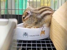 ☆今日のポチたま☆