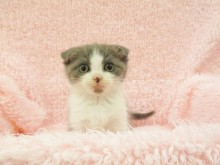 ☆仲間入りしました☆