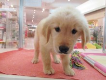 ☆今日のポチたま(^O^)☆