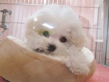 ☆お祭りに行く前に是非♫☆