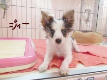 ☆熱い視線…♡☆