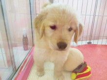 ☆今日のポチたま(*´▽｀*)☆