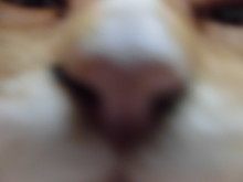 三連休(*ﾟ▽ﾟ*)