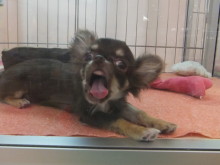 お迎えになりました(*ﾟ∀ﾟ*)