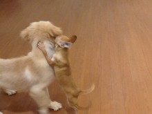 社交性(´∀｀*)