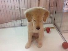 お待ちしています(*´ω｀*)