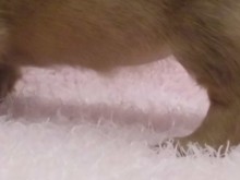 新メンバー(^O^)