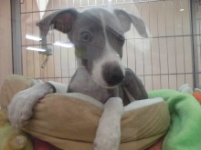 やっと・・・・(*´∀｀)