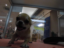 スムース君(*´∀｀)