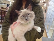 家族が決まりました(*ﾟ▽ﾟ*)