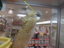 雨でも元気(^O^)