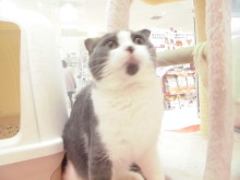 今日のポチたま(*´∀｀*)