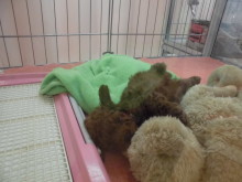 こんにちは(^-^)