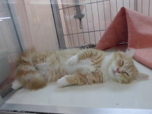 会いに来てください(^O^)