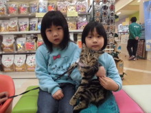 家族が決まりましたo(^▽^)o