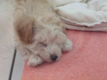 かわいい寝顔(*^_^*)