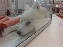 出来るかな？？